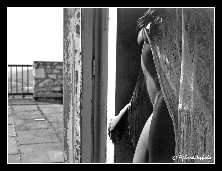 208 Clin d'oeil sur la terrasse